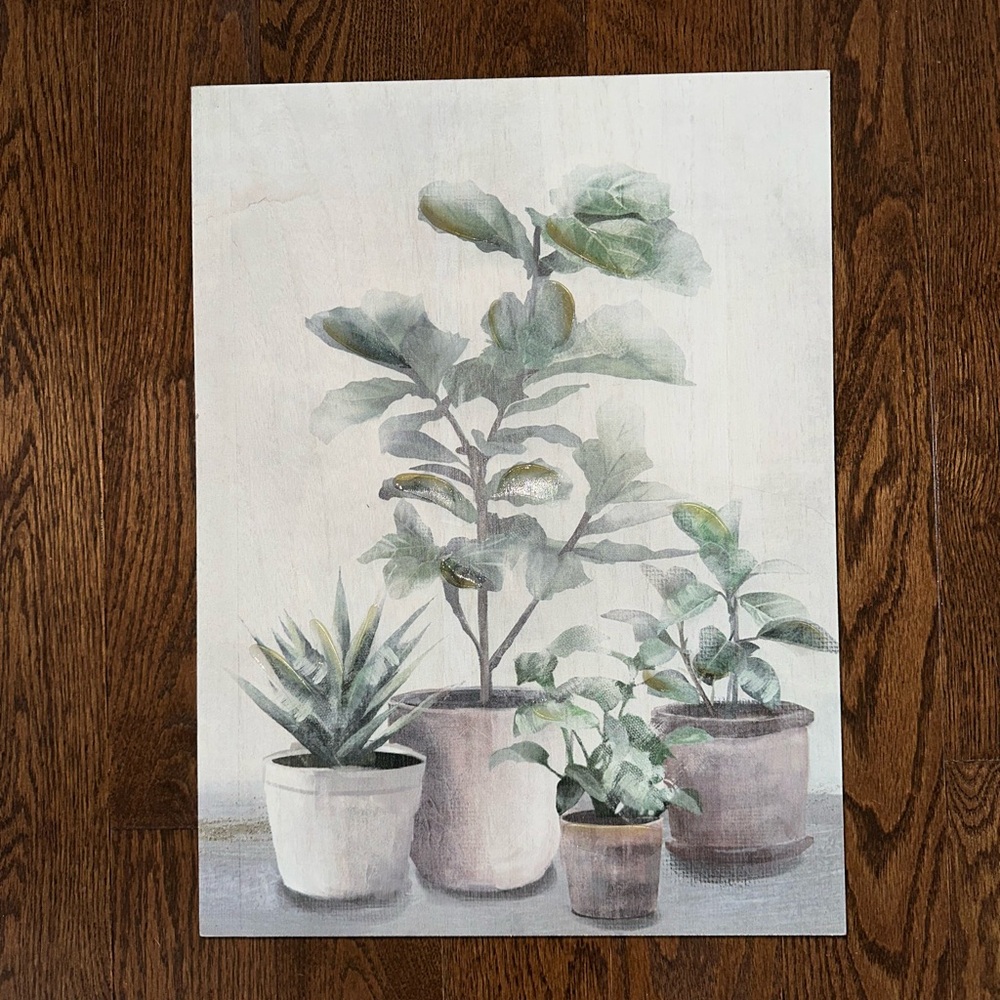 Potted Plants Wall Art Canvas